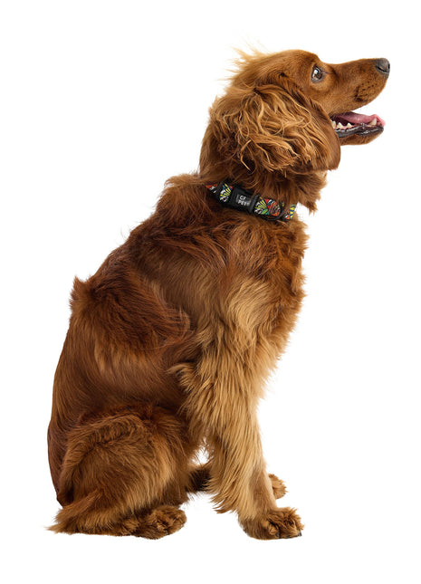 Printed Collar - Comic Book