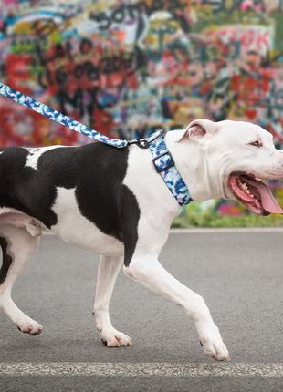 Printed Collar - Tie Dye
