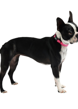 Reflective Collar - Neon Pink