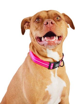 Reflective Collar - Neon Pink