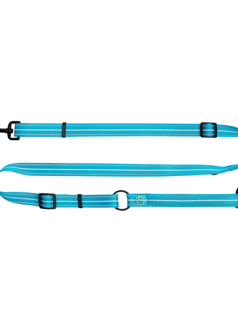 Reflective Leash - EEZY-6 - Neon Blue