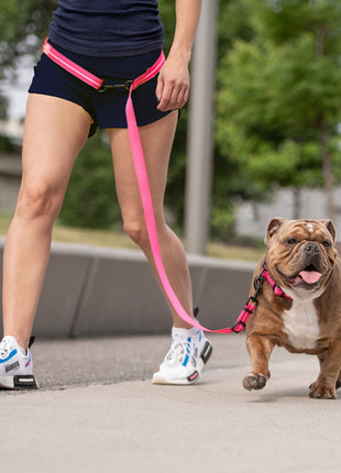 Reflective Leash - EEZY-6 - Neon Pink