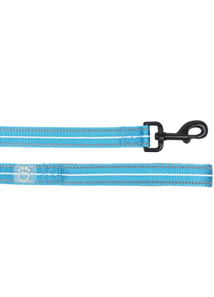 Reflective Leash - Neon Blue