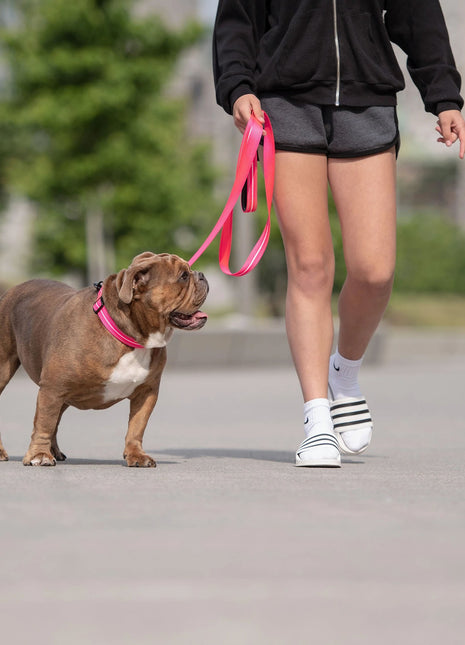 Reflective Leash - Neon Pink