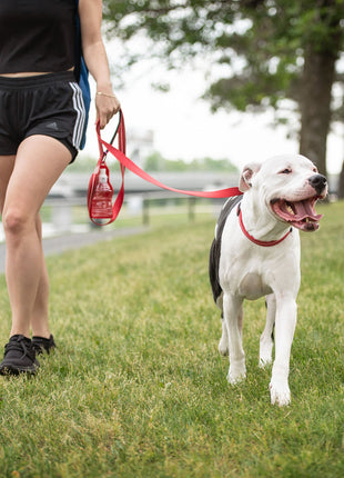 Reflective Leash - Red