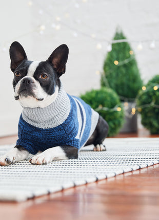 Trekking Sweater - Blue