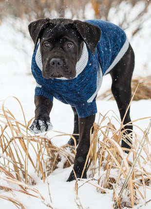 Trekking Sweater - Blue