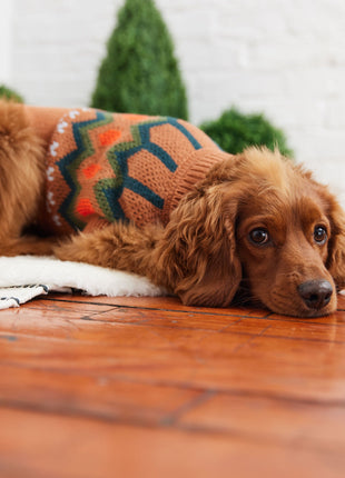 Heritage Sweater - Hazel