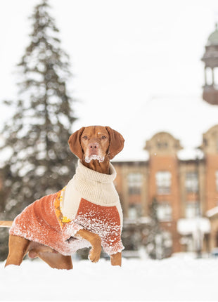 Fireside Sweater - Chili