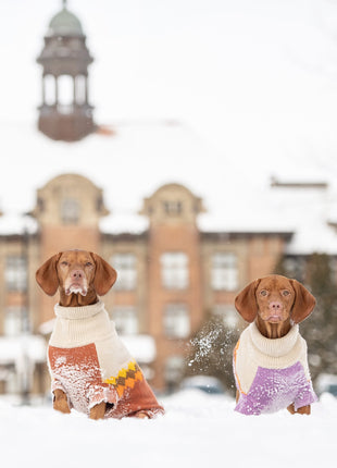Fireside Sweater - Chili