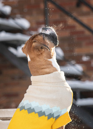 Fireside Sweater - Yellow