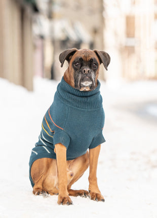 Arctic Sweater - Teal