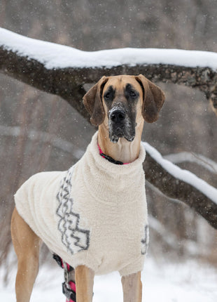 Fuzzy Sweater