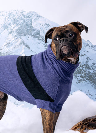 Catalyst Sweater