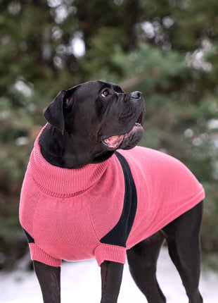 Catalyst Sweater
