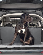 Pet Cargo Cover