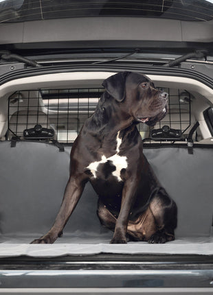 Pet Cargo Cover