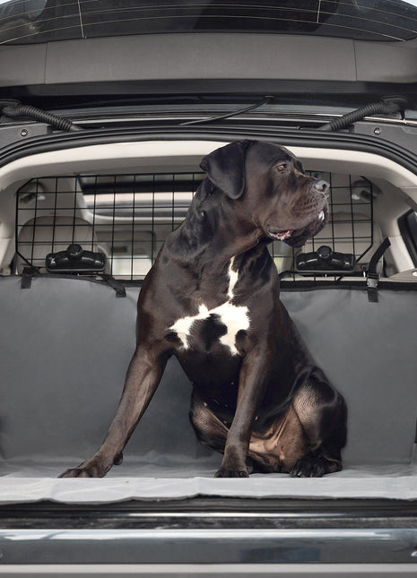 Pet Cargo Cover