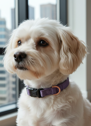 City Collar - Lilac Gray