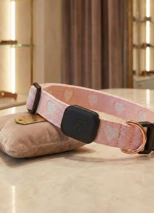 City Collar - Sweetheart