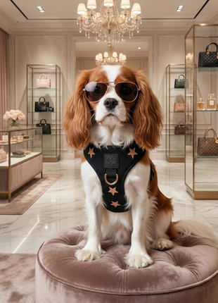 SoHo Dog Harness - Rockstar
