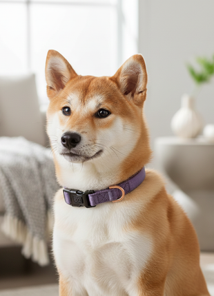 City Collar - Lilac Gray