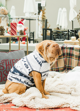 On The Bluffs Sherpa (Only Dog Sizes Left)