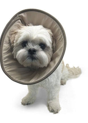 Get Better Recovery E-Collar