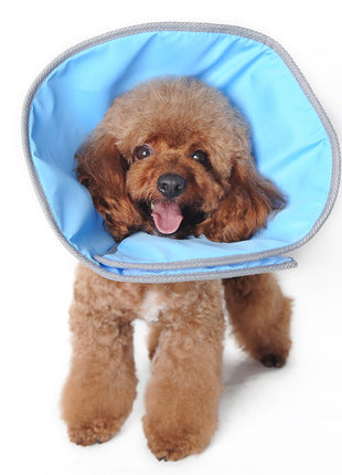 Get Better Recovery E-Collar