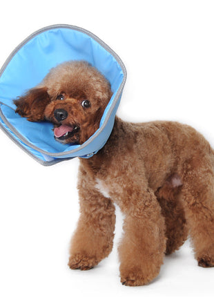 Get Better Recovery E-Collar