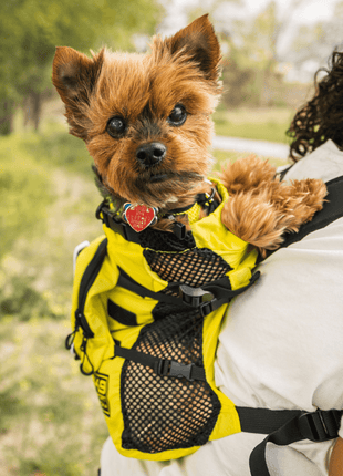 Walk-On | Lightweight & Packable Carrier with Harness & Storage