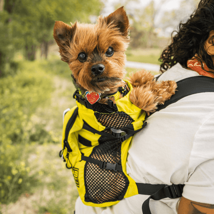 Walk-On | Lightweight & Packable Carrier with Harness & Storage