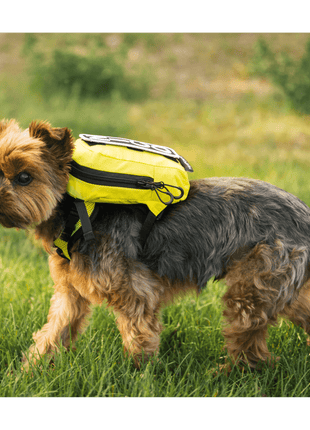 Walk-On | Lightweight & Packable Carrier with Harness & Storage