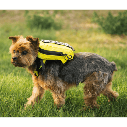 Walk-On | Lightweight & Packable Carrier with Harness & Storage