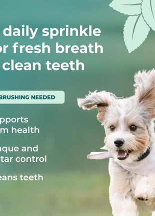 Fresh Breath Dental Powder for Dogs