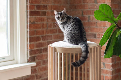 Tuft + Paw Grove Cat Tower