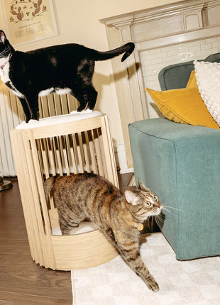 Grove Cat Tower