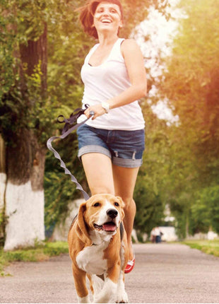 GOOPAWS No Pull Hands-Free Bungee Dog Leash for Hiking and Running, Jespet Reflective Leash - Pup List