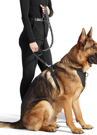 GOOPAWS No Pull Hands-Free Bungee Dog Leash for Hiking and Running, Jespet Reflective Leash - Pup List