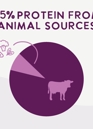 Air Dried Superfoods Beef Recipe