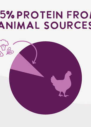 Air Dried Superfoods Chicken Recipe