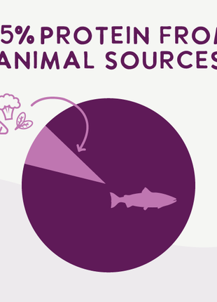 Air Dried Superfoods Salmon Recipe
