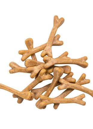 Probiotic Dental Bones