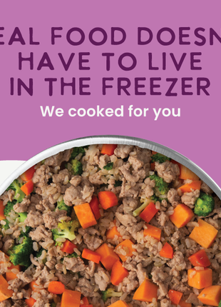 Gently Cooked Lamb And Carrot Recipe