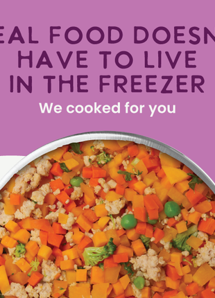 Gently Cooked Grain Free Vegetarian Recipe