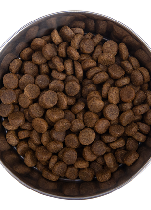 Grain Free Venison & Sweet Potato Recipe