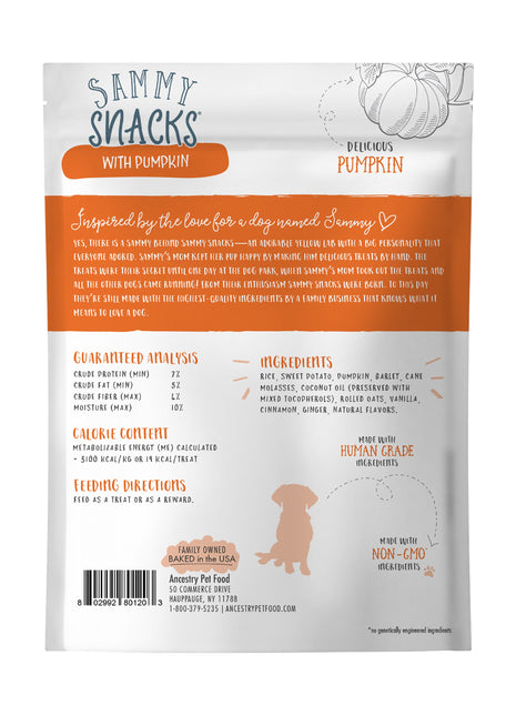 Sammy Snacks With Pumpkin