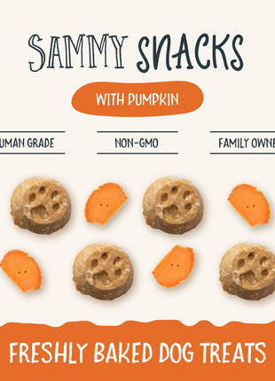 Sammy Snacks With Pumpkin