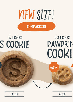 Sammy Snacks With Pumpkin