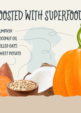 Sammy Snacks With Pumpkin
